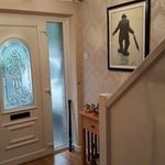 Derek Stephenson - @derek.stephenson.14 - Instagram