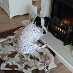 derek stock - @stockderek - Instagram