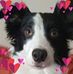 Derek Stocks - Facebook