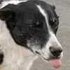 derekstocks - @derekstocks - TikTok