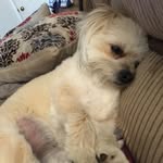 Derek Strawn - @strawnderek - Instagram