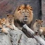 Derek Strong - @dstrong1524 - Instagram