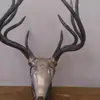 Derek Super Strong - @derek.super.stron - TikTok