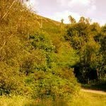 Derek Stuart - @drstuart52 - Instagram