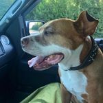 Derek Stubbs - @dbeleave - Instagram