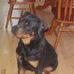 Derek Stuckey - Facebook