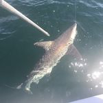 Derek Matthew Suggs - @whatsup.2017 - Instagram