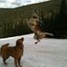 Derek Sundquist - Facebook
