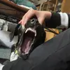 Sundquist - @_sundquist_ - TikTok