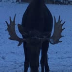 Derek Sweeting - Facebook