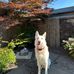 Derek Swift - Facebook