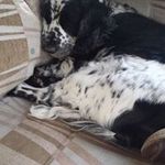 Derek Swift - @derek.swift - Instagram