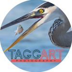 Derek Taggart - @dtaggartphotography - Instagram