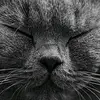 derektheyeetbeet - @derek.stapley2809 - TikTok