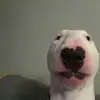 derektarrillo - @derektarrillo - TikTok