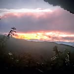 Derek Eliut Tejeda - @derekeliut - Instagram