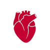 derektejeda21 - @derektejeda21 - TikTok