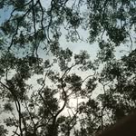 Derek Teng - @derek.teng - Instagram