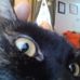 Derek Tingle - Facebook