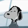 Derek - @dereknewtonn - TikTok