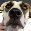 Derek Tonner - @derektonner1234 - TikTok