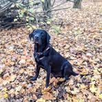 Derek Travers - Facebook