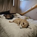 Derek Travers - @derek.travers - Instagram
