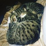 Derek Troutman - @troutmanderek - Instagram