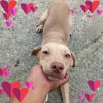Dereck Troy - Facebook