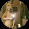 DEREK VASQUEZ - @derek.vasquez6 - TikTok