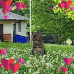 Derek Vaughan - @dervatc - Instagram