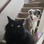 Derek Waldron - @pabloslemon - Instagram