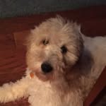 Derek Walter - @derekwalter6262 - Instagram