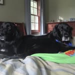 Derek Walter - @derek_walter99 - Instagram