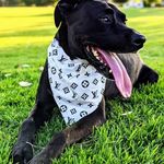 Derek Werner - @derek_werner455 - Instagram