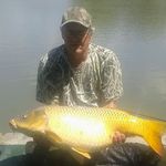 Derek Whiting - @totalcarp479 - Instagram