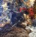 Derek Wilda - Facebook