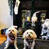 Derek j Wilde - @derek.j.wilde - TikTok