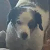 Derek wilhelm - @derek.wilhelm40 - TikTok
