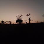 Derek Wills - @keryl55 - Instagram