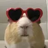 Derek Wimpee - @_choco.taco_ - TikTok