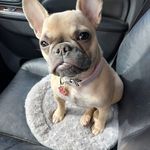 Derek Winders - @derek.winders - Instagram