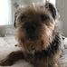 Derek Walters - Facebook