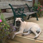 Derek Woolley - @derek.woolley.587 - Instagram
