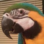 Derek Wyckoff - @derekwyckoff - Instagram