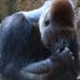 Derek Wyman - Facebook