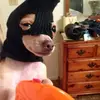 Derek - @derekxielarroyo - TikTok