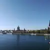 Derek Cao - @derek.cao - TikTok