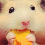derick - @derickassumpcao - Instagram