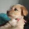 Kelly Leite - @derick.cao - TikTok